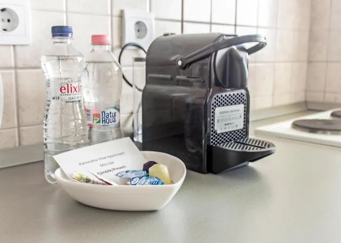 Panorama View Apartament *